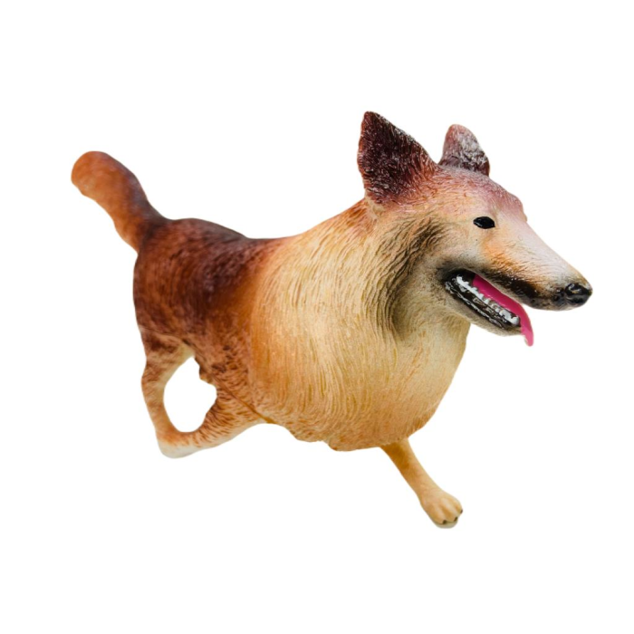 Soft Köpekler -  en Retriever Cinsi Köpek - E013