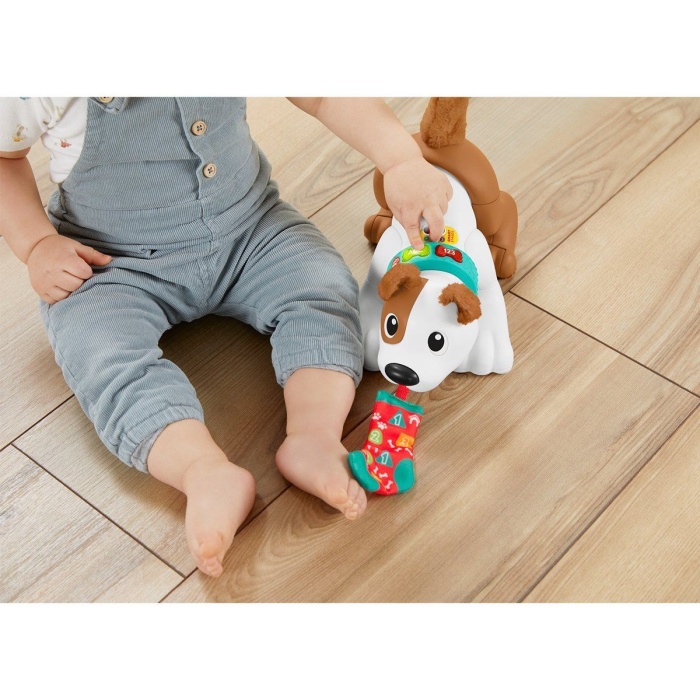 HHH13    , Emeklemeyi ve Saymayı Öğreten Köpekçik