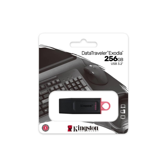 Kingston USB BELLEK 256GB