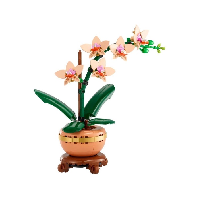 10343 Lego iconic Botanicals Mini Orkide 274 parça +18 yaş