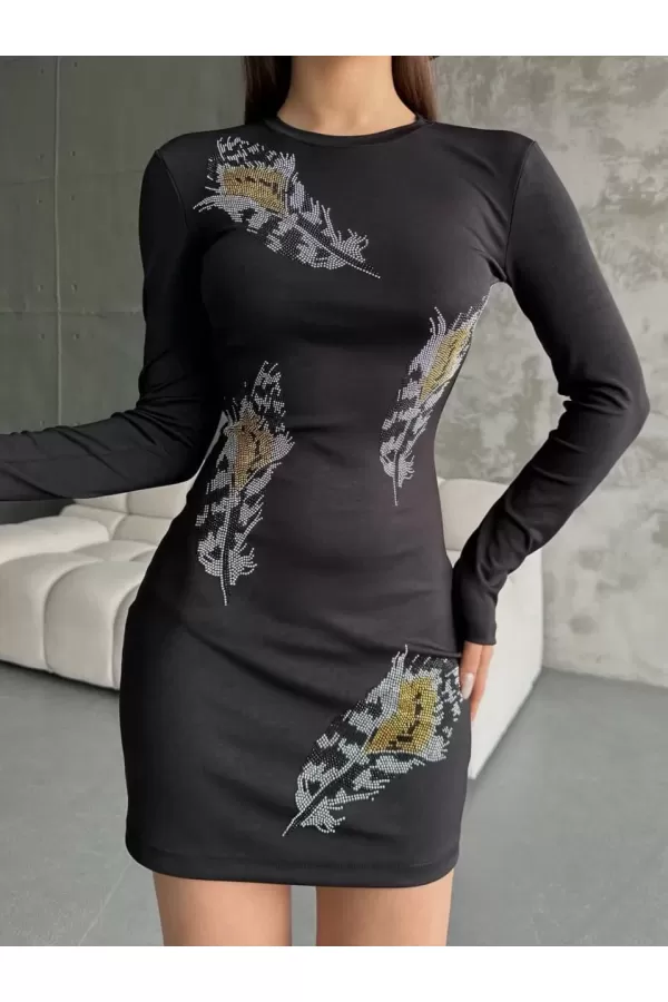Kadın Uzun Kollu Taş Detaylı Elbise - Siyah