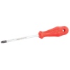 İzeltaş 4776180020 Tr 20 DeliKLi Torx Uçlu Tornavida