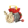 Rover Bem 25260000 40 Lt/Dk 220 V ElektriKLi Paletli Yağ Transfer Pompası