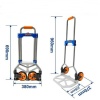 Wadfow WWB9A06 Katlanır Koli Paket Taşıma Arabası