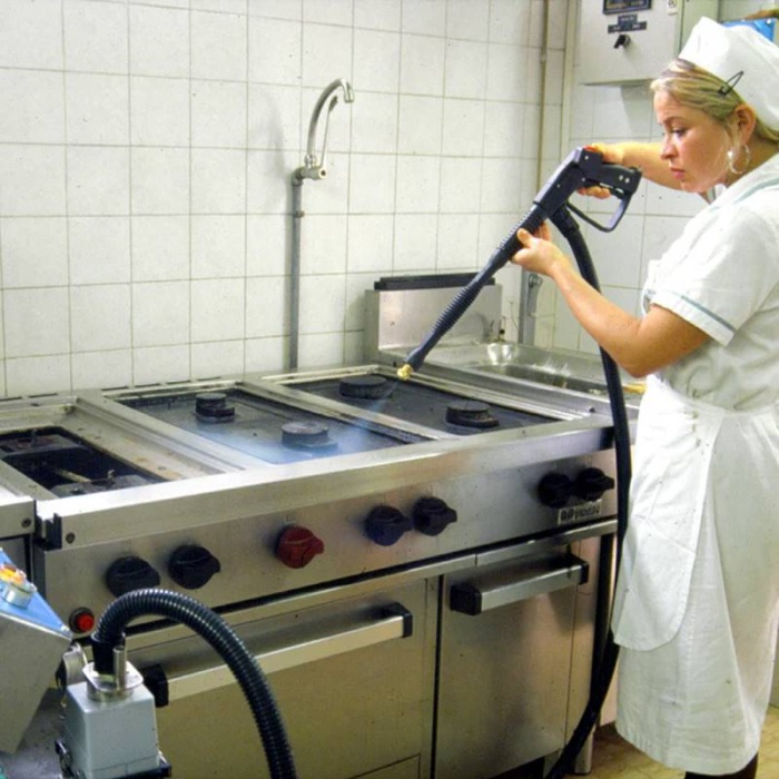 Lavor Gv Etna 4000 Endüstriyel Vakumlu Buharlı Temizlik Makinesi