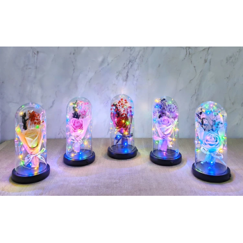 Işıklı  Müzkli Dekoratif Cam Fanus İçinde Gül Alk5005