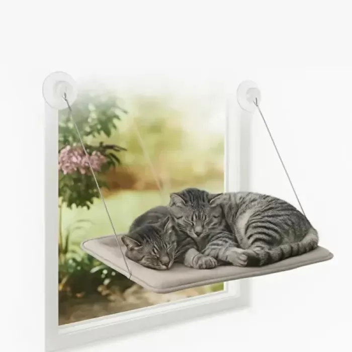 Kedi Pencere Yatağı