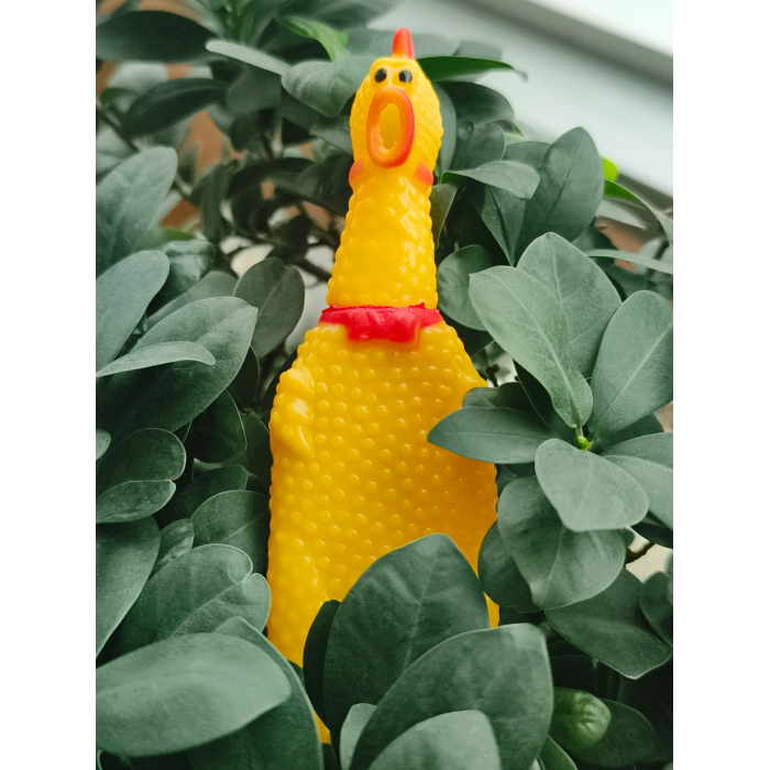 Büyük Pet Park Köpek Tuvalet Eğitim Seti – Evcil Dostunuz İçin Hijyenik Çözüm 1 Adet Çığlık Atan Ördek 1 Adet Yıkanabilir Rulo Hediye