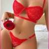 Kadın Kırmızı Dantelli Balenli  Sütyen Külot Takım