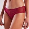 Golshan Gaspara Mini Slip, Kadın Güpürlü Tüllü Şarap Renkli Normal Kesim Külot