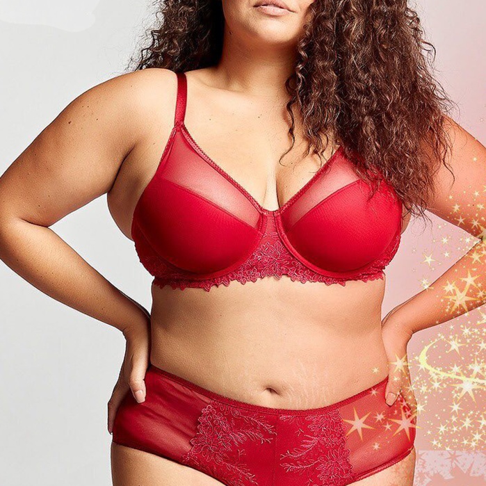 Golshan Gaspara Control Slip, Kadın Güpürlü Tül Şarap Renkli Yüksek Bel Külot