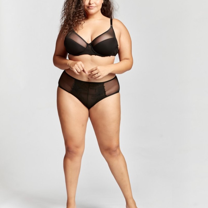 Golshan Gaspara Control Slip, Kadın Güpürlü Tül Siyah Renk Yüksek Bel Külot