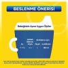 Bebelac 2 Çocuk Devam Sütü 800 Gr