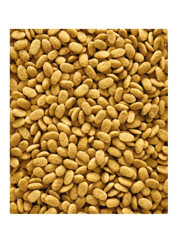 Nutribird P19 Original Üreyen Papağanlar İçin Meyveli Pelet Yem 500g