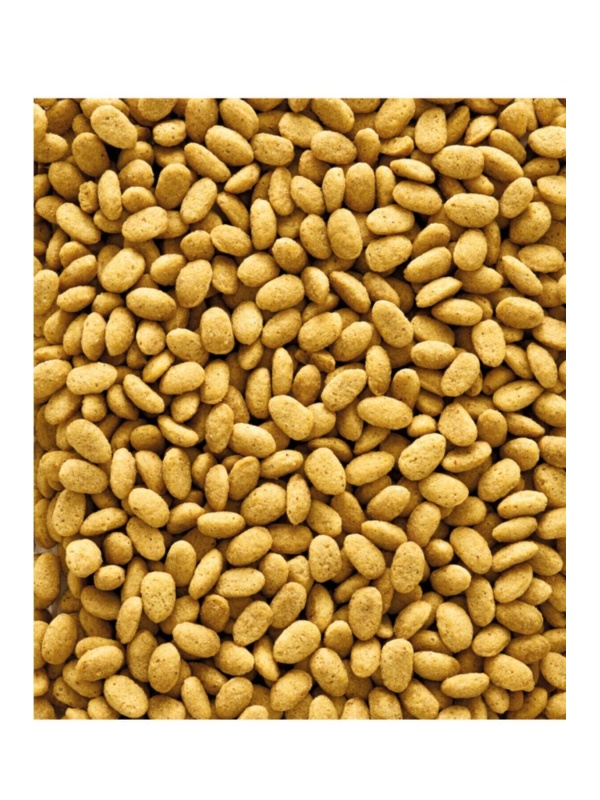 Nutribird P19 Renksiz 1 Kg