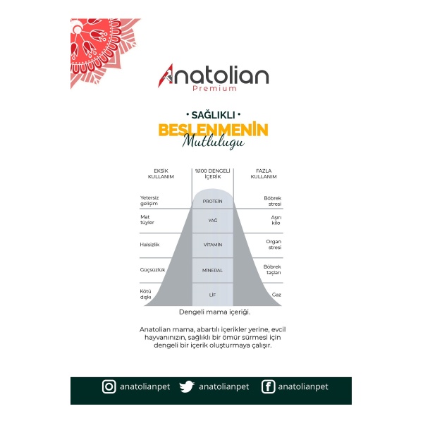 Anatolian Premium Tavuklu 10 kg Yavru Kedi Maması