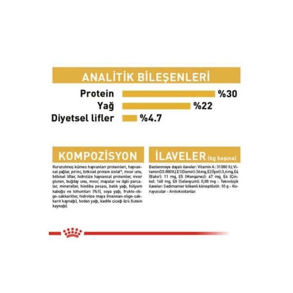 Royal Canin Persian İran Kedilerine Özel 2 kg Yetişkin Kedi Maması