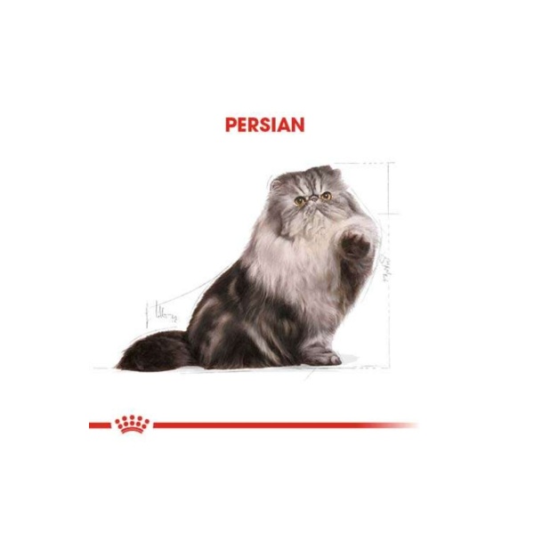 Royal Canin Persian İran Kedilerine Özel 2 kg Yetişkin Kedi Maması