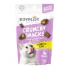 CRUNCHY SNACKS DUCK /SENSİTİVE CARE 60 GR