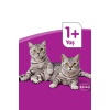 Whiskas Biftekli Havuçlu 300 gr Yetişkin Kedi Maması