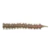 Hanfish BİBİ 50 mm Lrf Slikon Yem #RENK:S-008 BLODYWORM