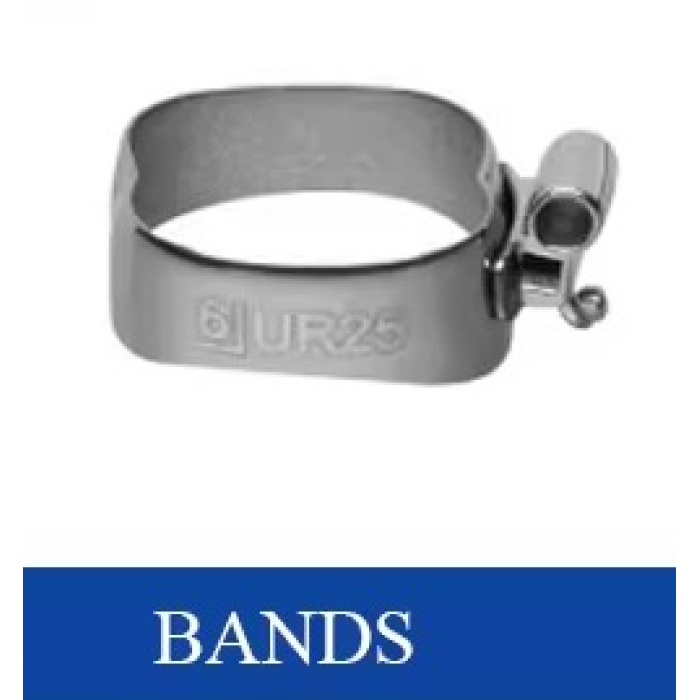 6. Molar Band Seti