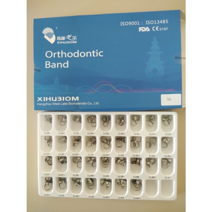 6. Molar Band Seti