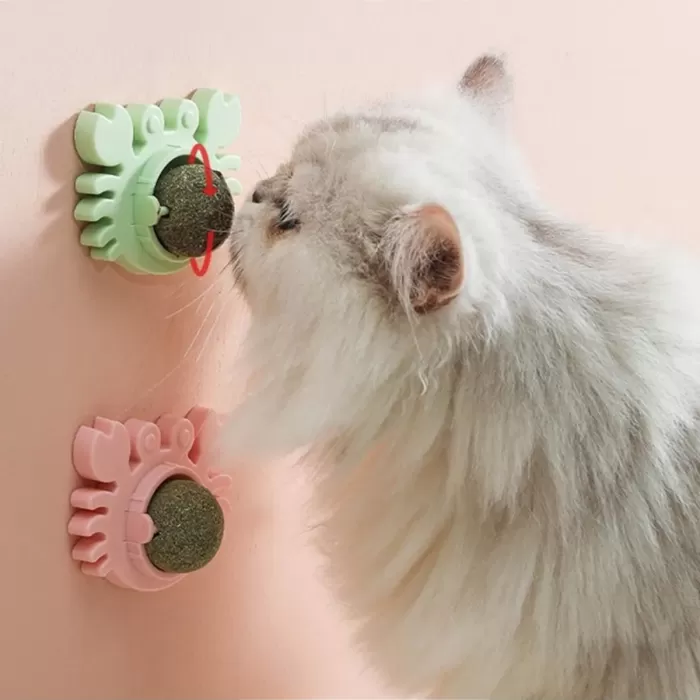 Yengeç Kedi Otu Oyun Topu