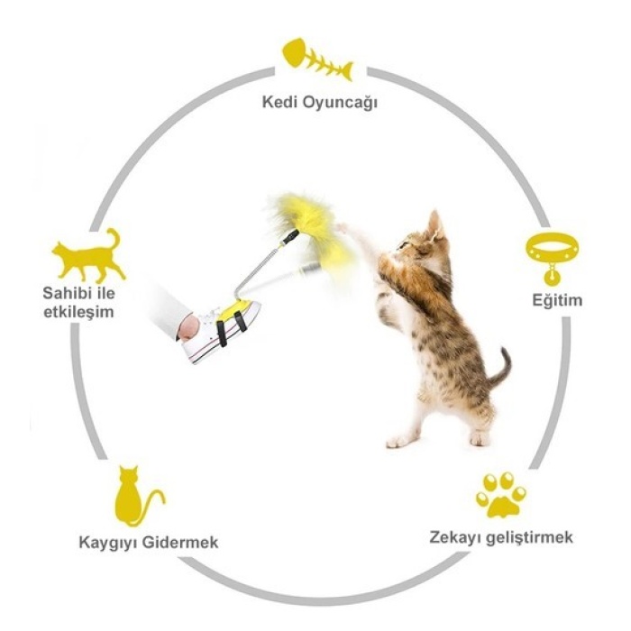 Ayağa Takılan Kedi Oyun Oltası