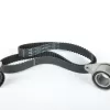 EKSANTRIK KAYIS KITI MEGANE 1.9 F9Q-736 MAIS 7701477049