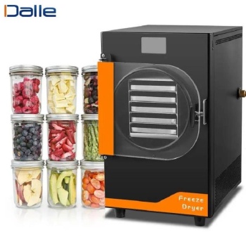 Dalle DFD-10 Yüksek Teknolojili Freeze Dryer Dondurarak Kurutma Fırını - Liyofilizatör