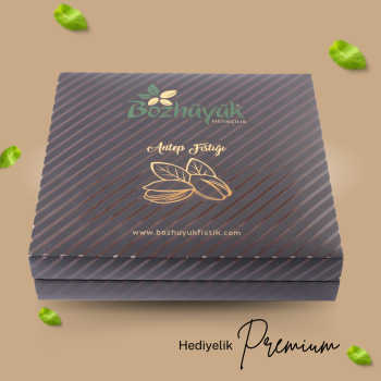 Premium Hediyelik Kutu Fıstık (1 Kg)