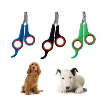 Kedi Köpek Tırnak Makası Renkli Poşetli (4915) Go-53-vice/(1395)