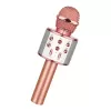 Bluetooth Karaoke Mikrofon (4915) Go-53-vice/(1395)