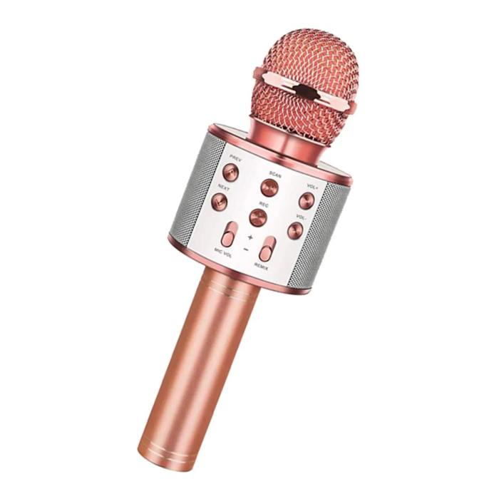 Bluetooth Karaoke Mikrofon (4915) Go-53-vice/(1395)