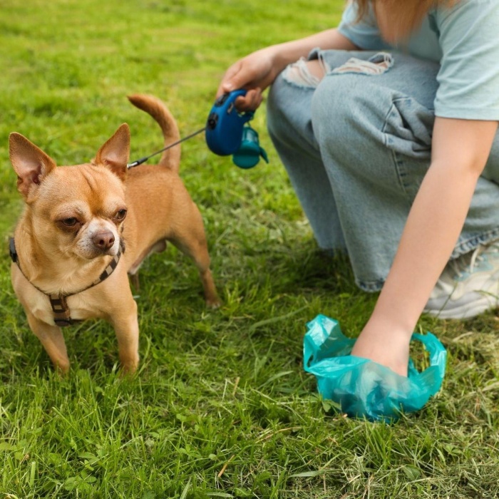 10 Adet Evcil Hayvan Kullan At Kaka Poşeti (4915) Go-53-vice/(1395)