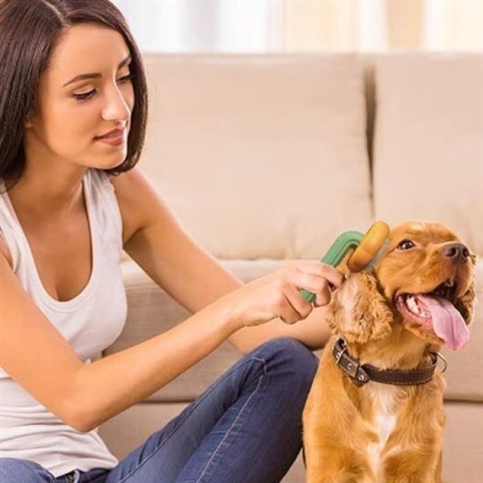 Plastik Yeşil Evcil Hayvan Bakım  Pet Fırçası Çok Amaçlı Pet Fırçası Yeşil (4915) Go-53-vice/(1395)