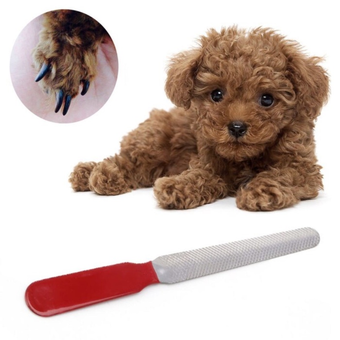 Evcil Hayvan Tırnak Makası Ve Törpü Seti Manikür Pedikür Pati Bakım Aleti Kaymaz Sap (4915) Go-53-vice/(1395)