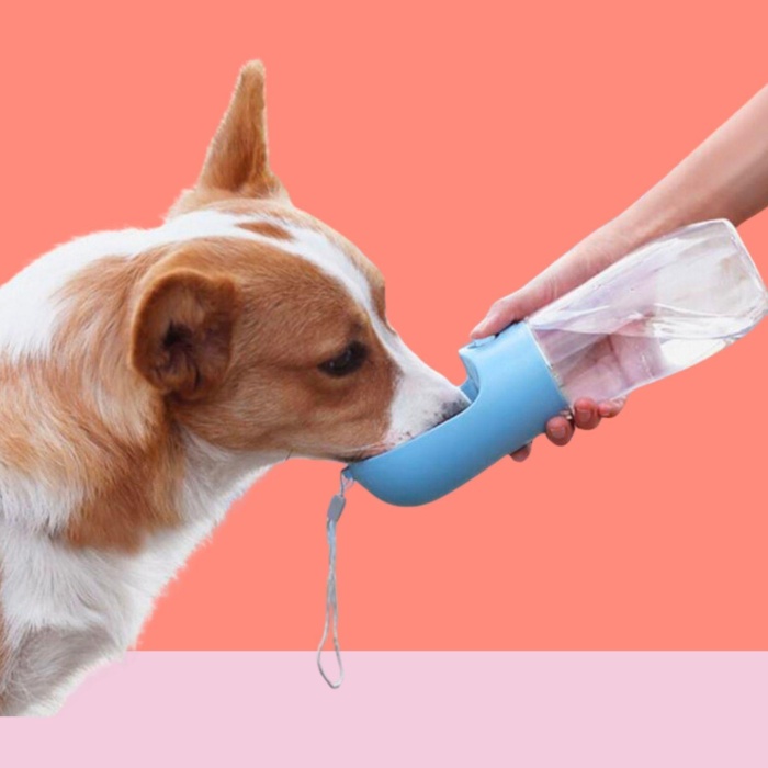 450 Ml Taşınabilir Butonlu Evcil Hayvan Suluğu (4915) Go-53-vice/(1395)