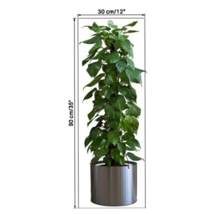 Saksılı Bitki Tasarımlı Yapışkanlı Sticker Resim 90*30 Cm (4915) Go-53-vice/(1395)