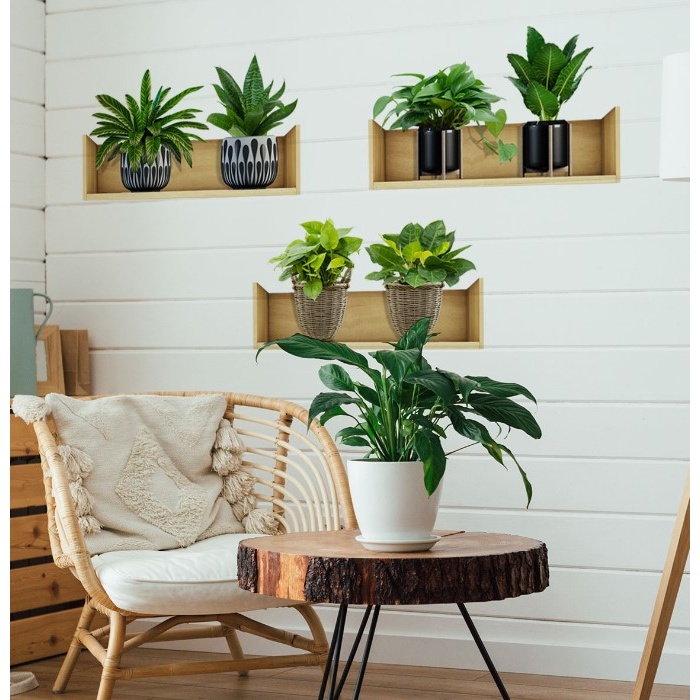 Raflı Bitki Tasarımlı Yapışkanlı Sticker 20*30 Cm 3lü Set (4915) Go-53-vice/(1395)