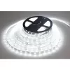 Cata CT-4538 Gold İç Mekan 12w 240 Çipli Şerit Led Beyaz Işık