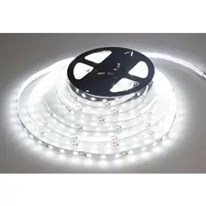 Cata CT-4538 Gold İç Mekan 12w 240 Çipli Şerit Led Beyaz Işık
