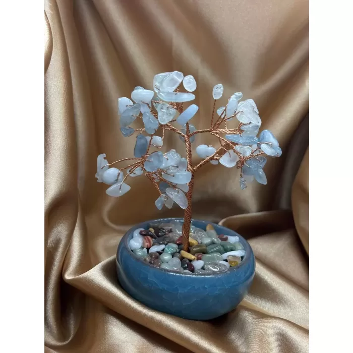 Akuamarin Ağaç Küçük