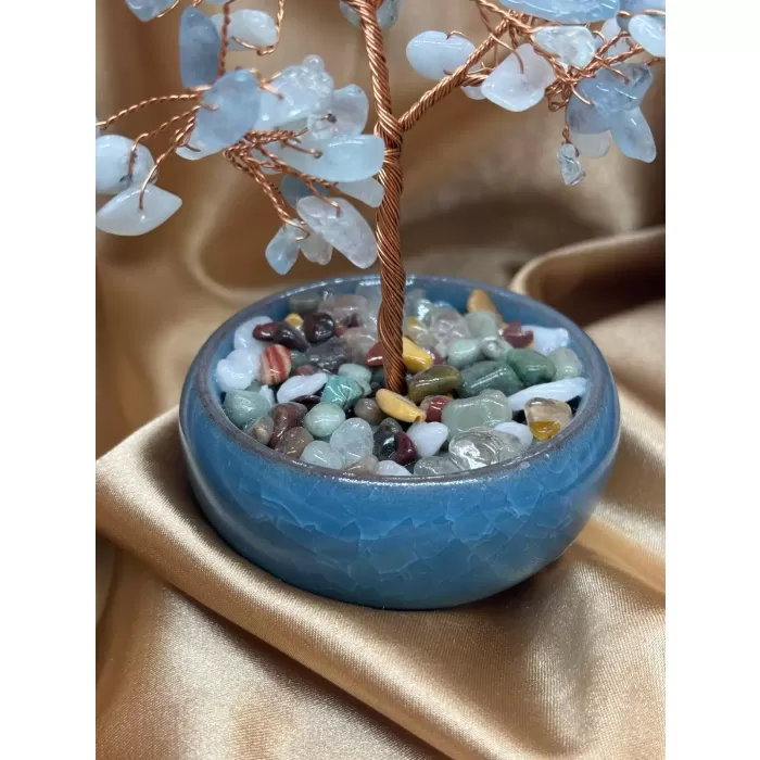 Akuamarin Ağaç Küçük