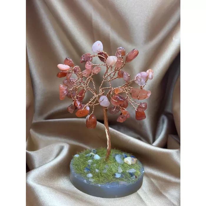 Akik Ağaç Küçük