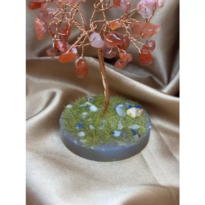 Akik Ağaç Küçük