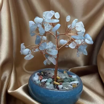 Akuamarin Ağaç Küçük