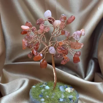 Akik Ağaç Küçük