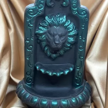 Aslan Geri Akış Siyah